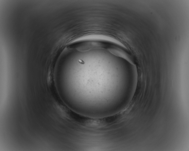 X0000087000074200704161531