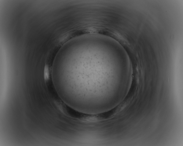 X0000087000075200704161531