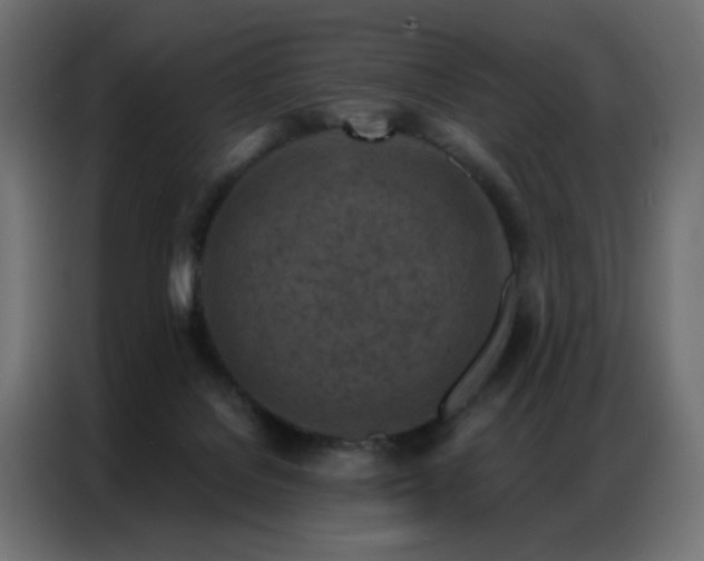 X0000087000076200704161531
