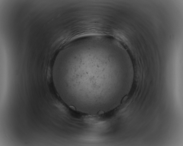 X0000087000077200704161531