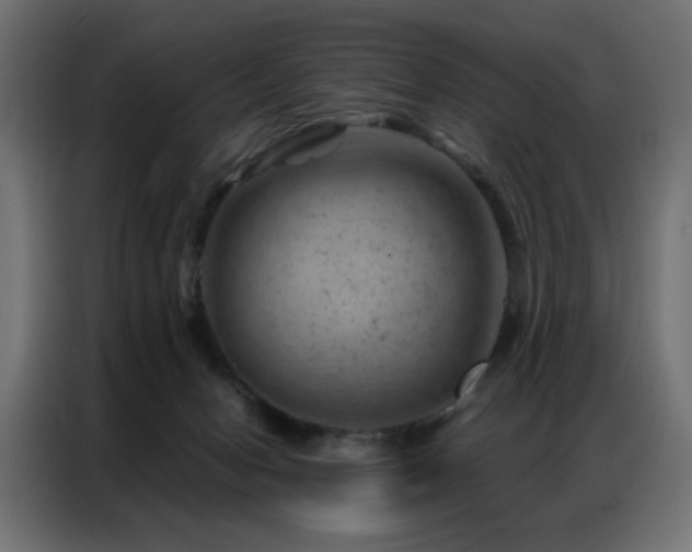 X0000087000078200704161531