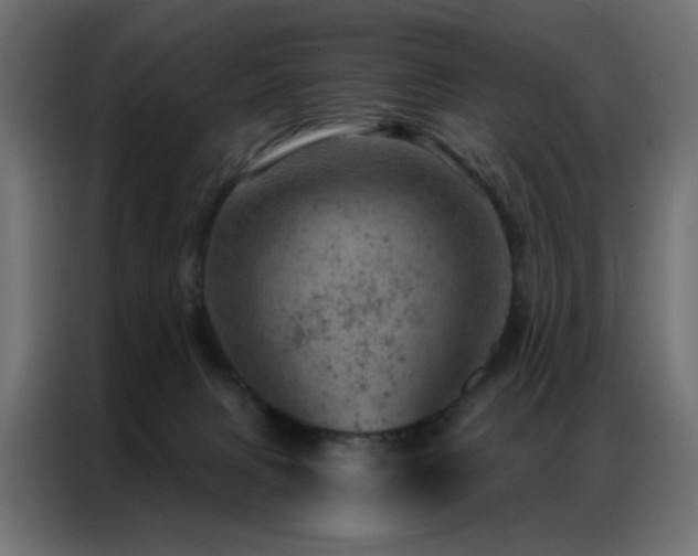 X0000087000079200704161531