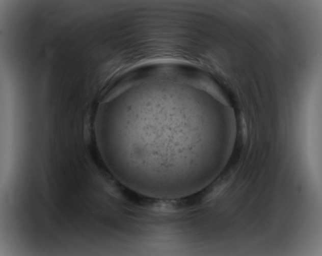 X0000087000080200704161531