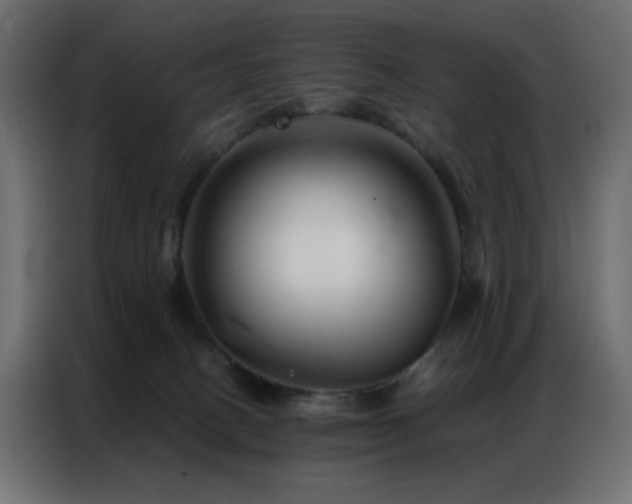 X0000087000082200704161531