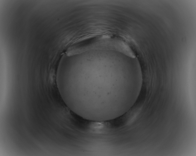 X0000087000083200704161531