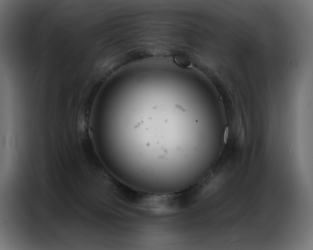 X0000087000084200704161531