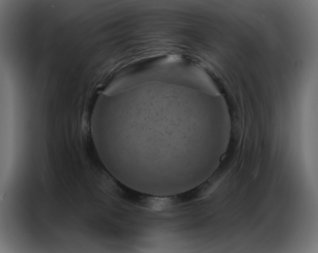 X0000087000085200704161531