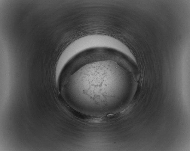 X0000087000086200704161531