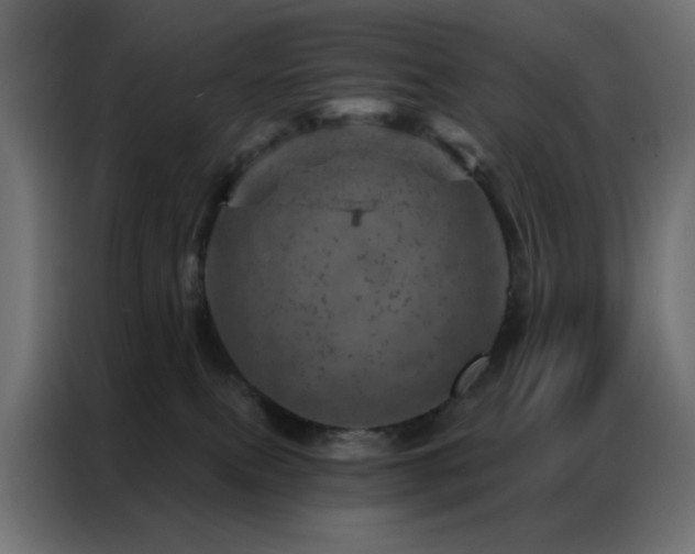 X0000087000087200704161531