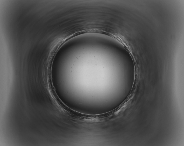 X0000087000097200704161531