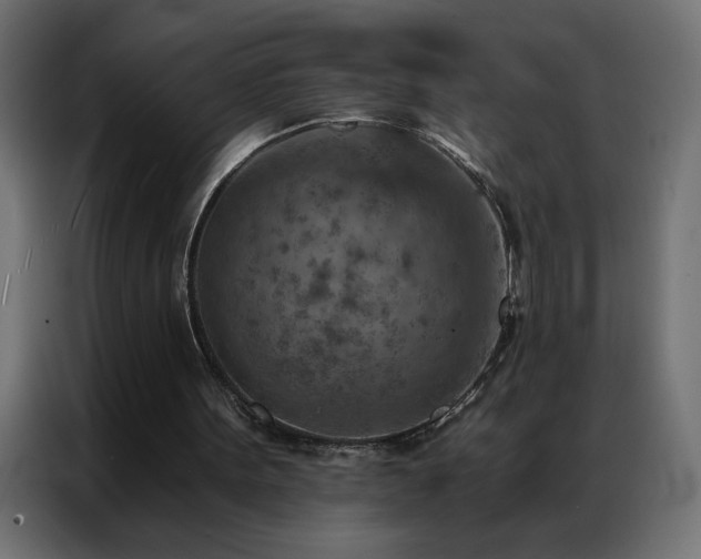 X0000087000099200704161531