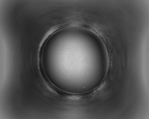 X0000087000102200704161531