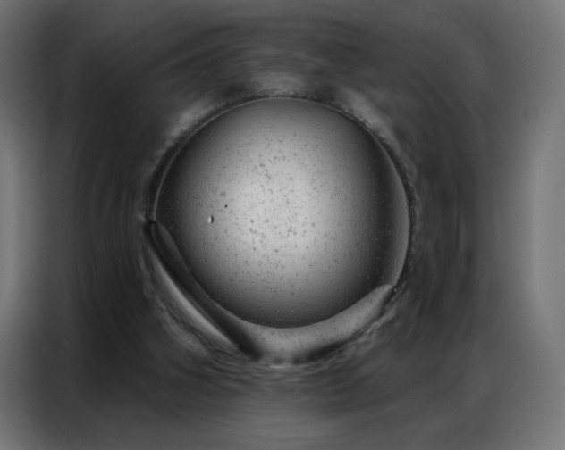 X0000087000106200704161531