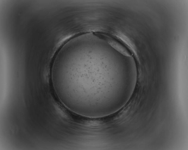 X0000087000107200704161531