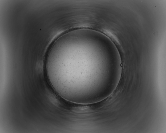 X0000087000108200704161531