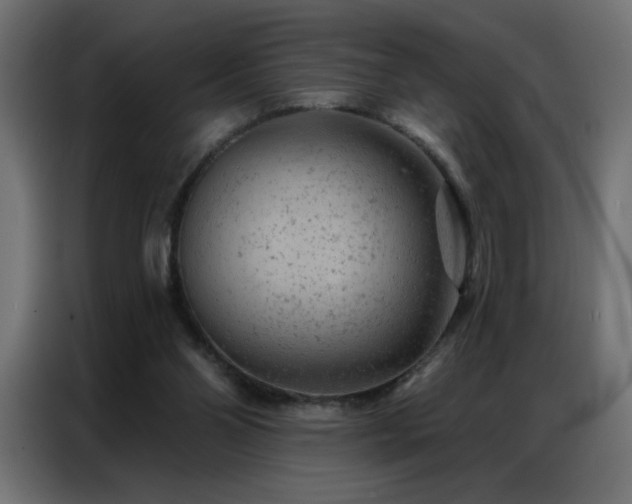 X0000087000110200704161531