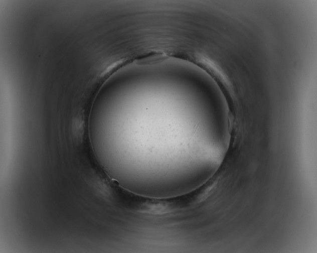 X0000087000113200704161531