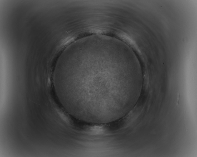 X0000087000114200704161531