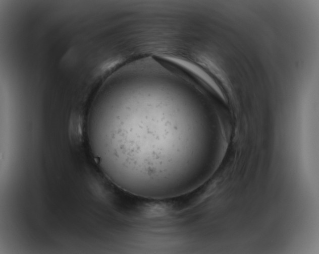 X0000087000115200704161531