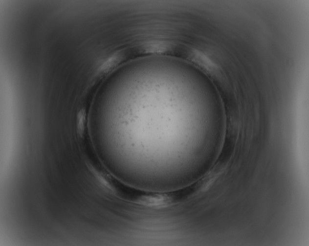 X0000087000118200704161531