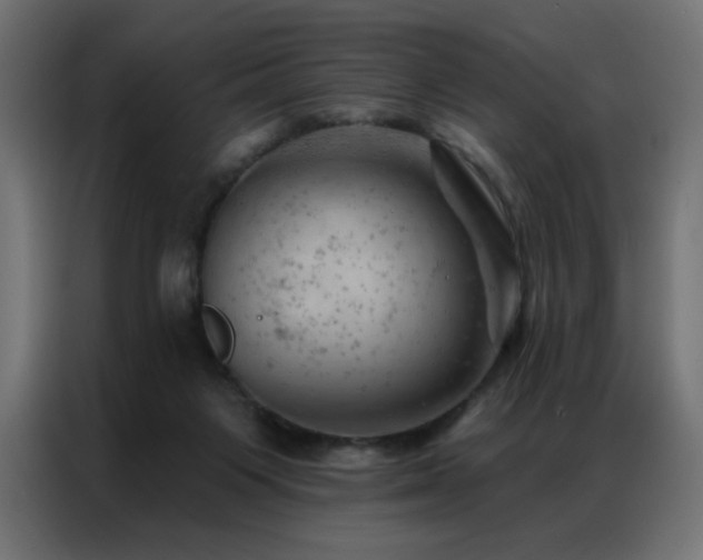 X0000087000119200704161531