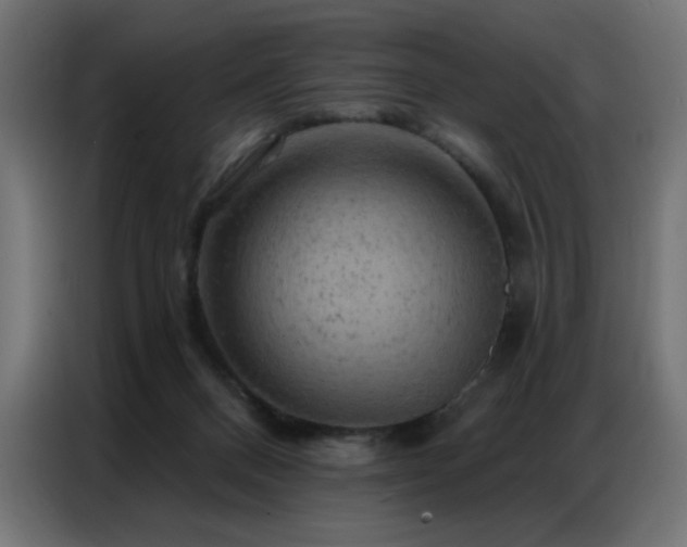 X0000087000120200704161531