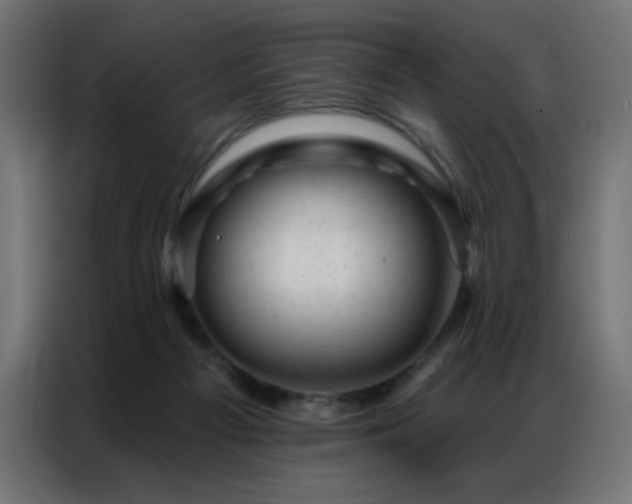 X0000087000121200704161531