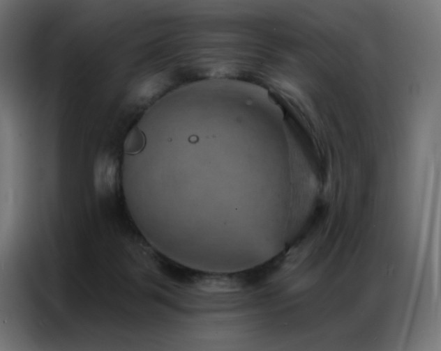 X0000087000123200704161531