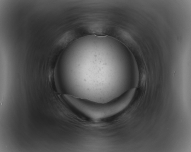 X0000087000125200704161531