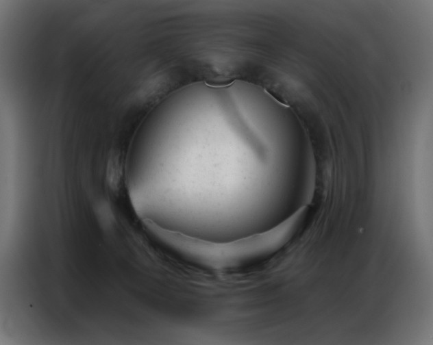 X0000087000129200704161531