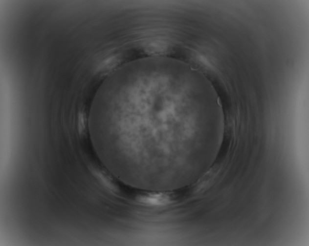 X0000087000130200704161531