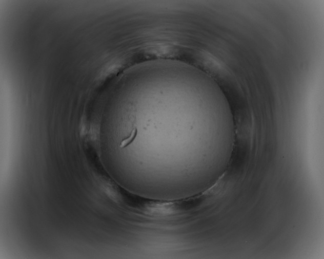 X0000087000132200704161530