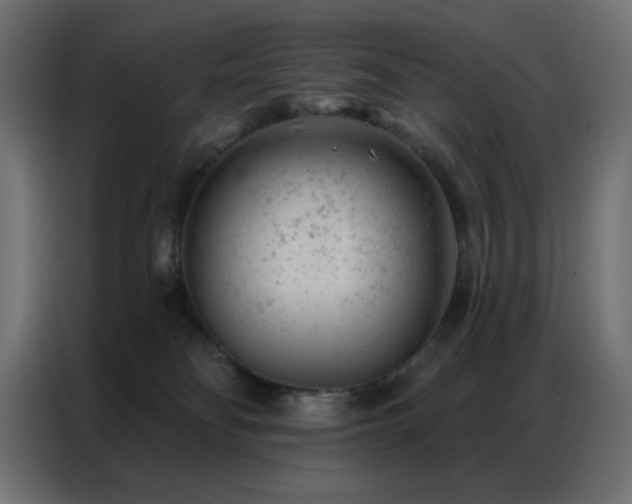 X0000087000134200704161530