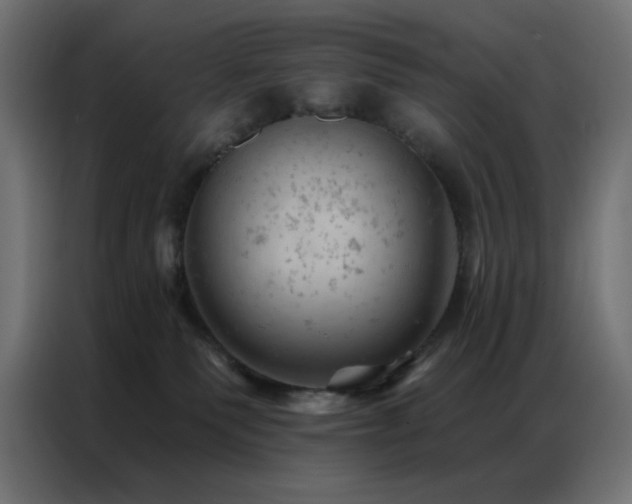 X0000087000135200704161530