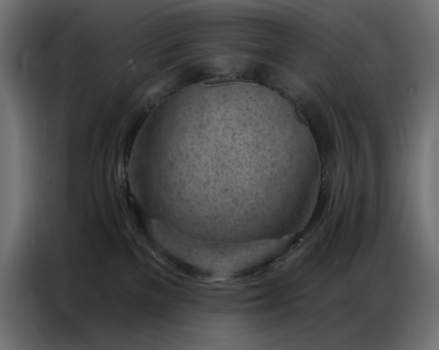 X0000087000137200704161530