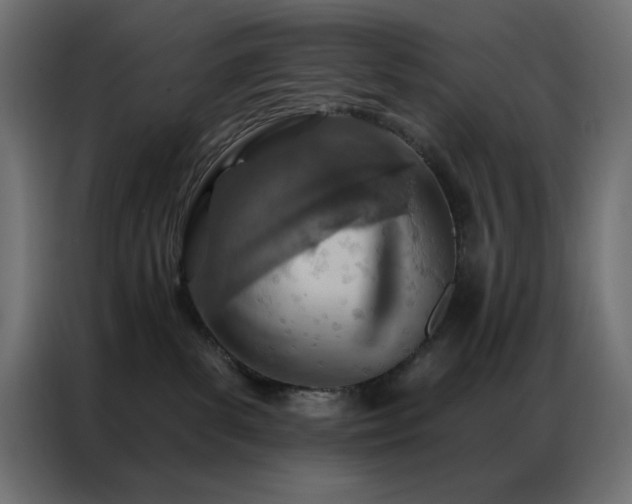 X0000087000139200704161530