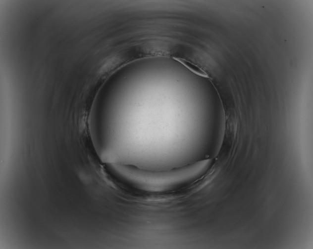 X0000087000141200704161530