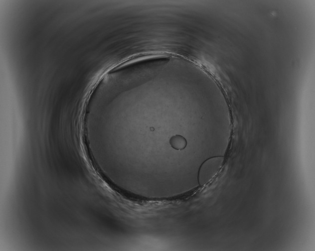 X0000087000145200704161530
