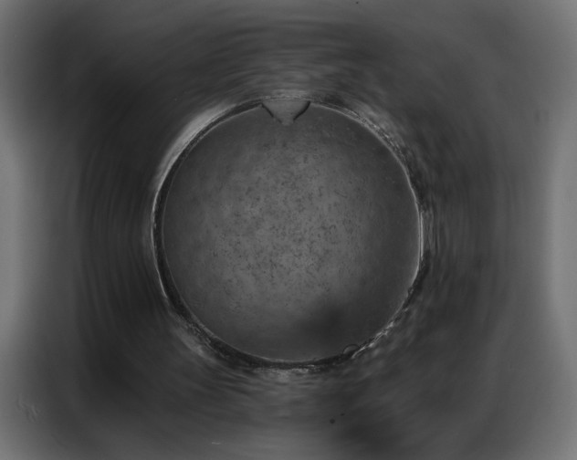 X0000087000147200704161530