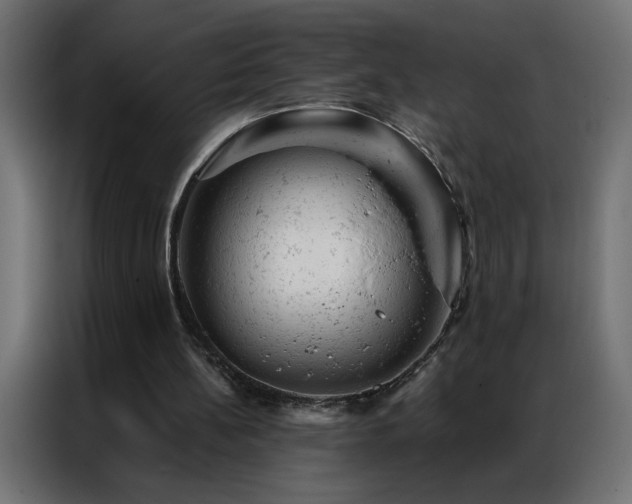 X0000087000148200704161530