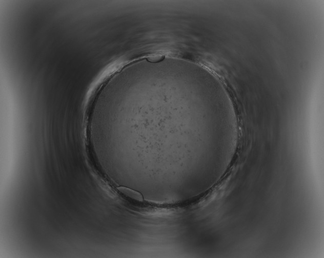 X0000087000149200704161530