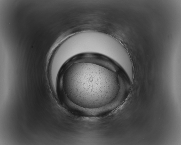 X0000087000150200704161530