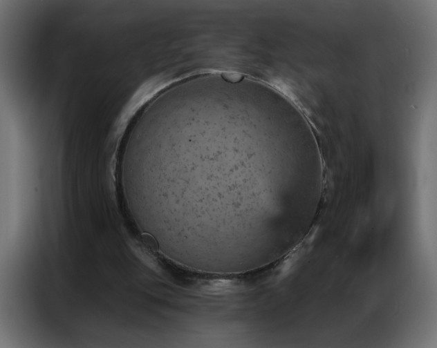 X0000087000151200704161530