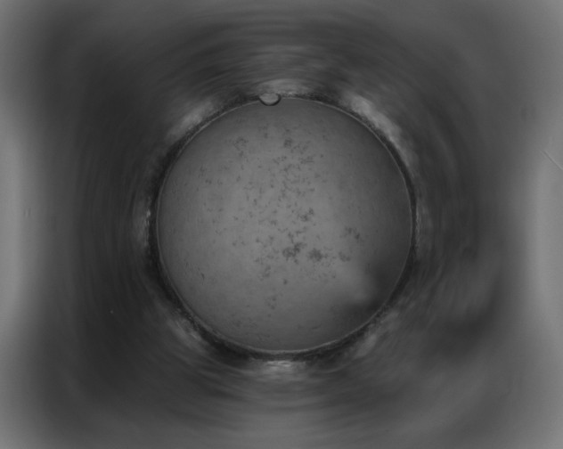 X0000087000153200704161530