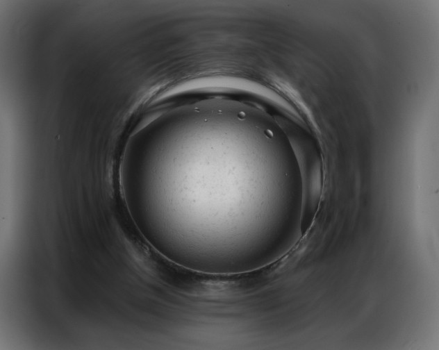 X0000087000154200704161530