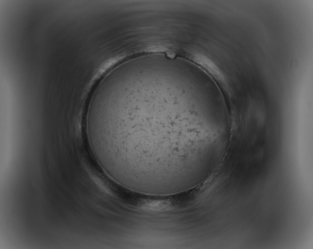 X0000087000155200704161530
