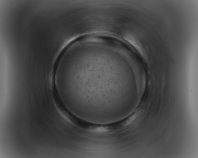 X0000087000156200704161530