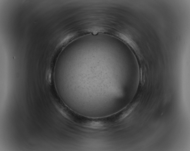 X0000087000157200704161530