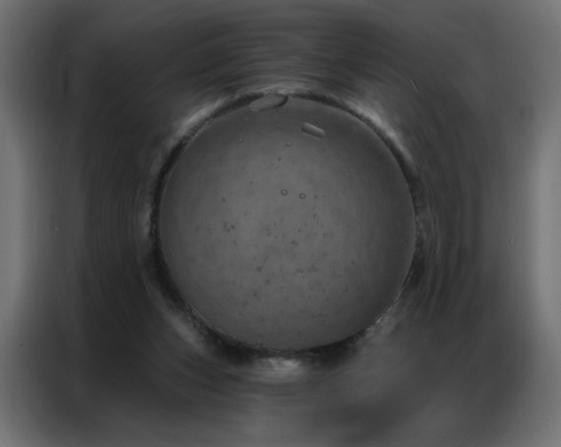 X0000087000159200704161530