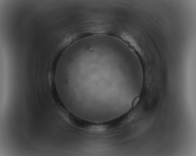 X0000087000161200704161530